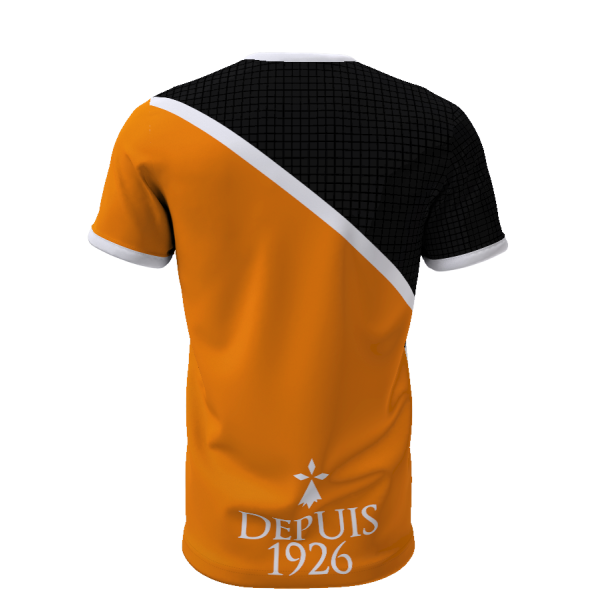 C'est du sang lorientais qui coule dans mes veines - Supporters Lorient