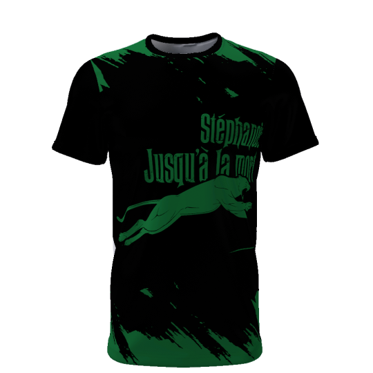 Stéphanois jusqu'à la mort x Panthère - Supporters Saint Etienne