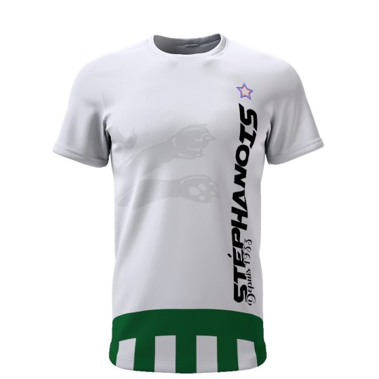 Stéphanois depuis 1933 - Supporters Saint Etienne